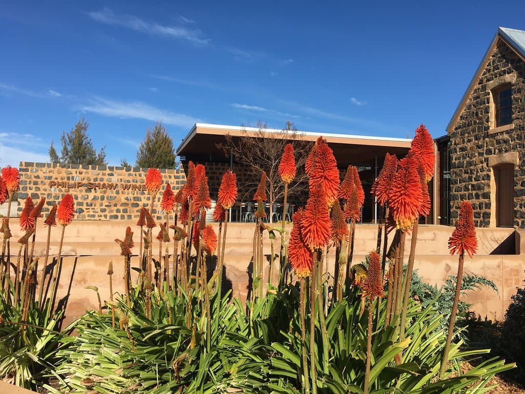 Philip Shaw Wines in winter