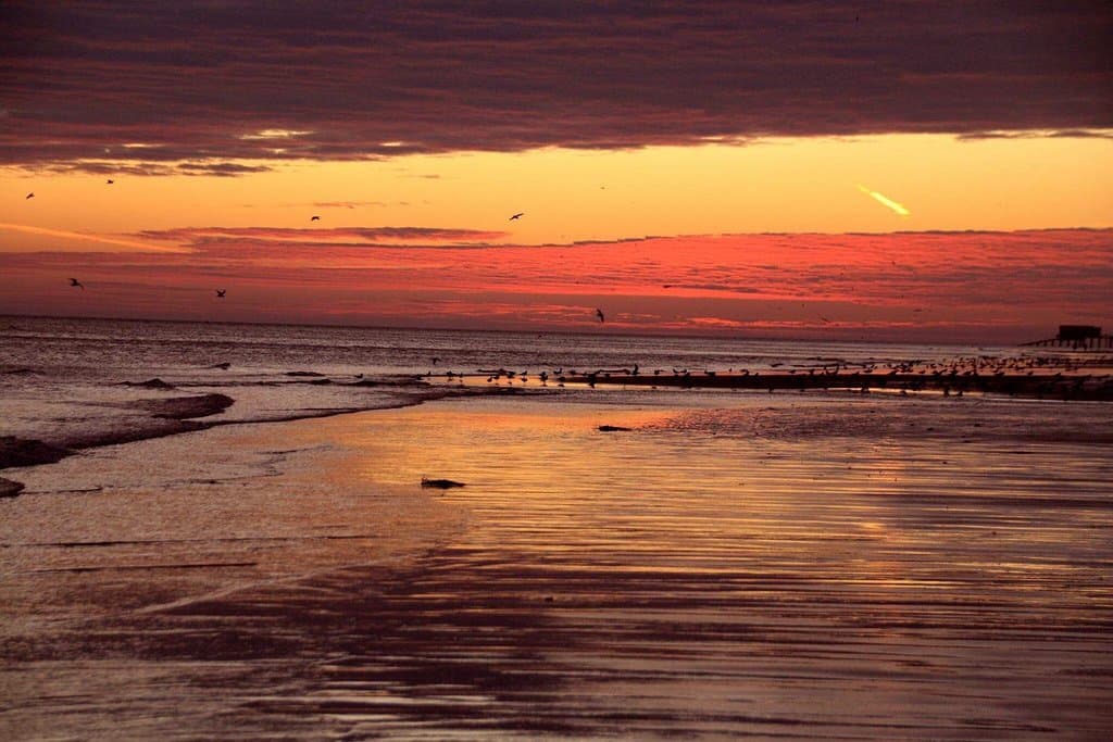 A stunning place to grab a cuppa or watch the sun go down , perfect for dogs too