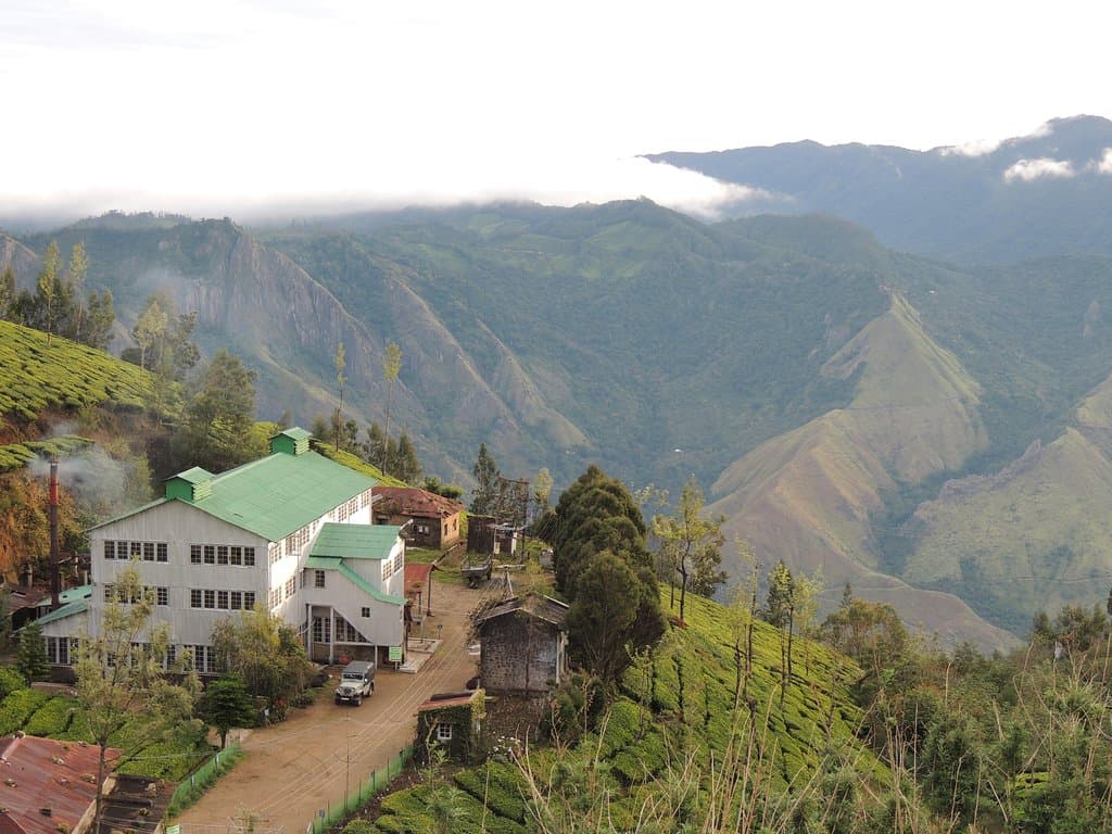Kolukkumalai Tea Estate is the world's highest elevation tea plantation. It is situated at Kottagudi village. Tourists can reach the estate only through Suriyanalle jeeps. 