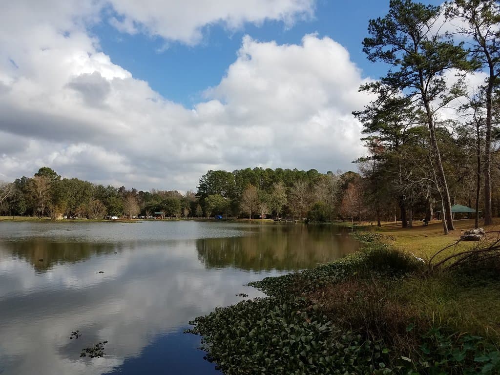 Lake with walking path