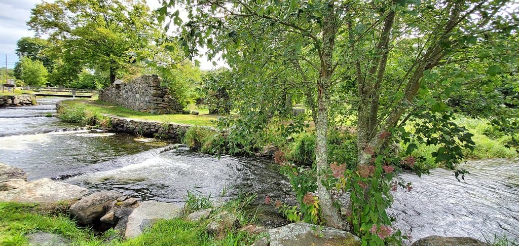 Oliver Mill Park #5