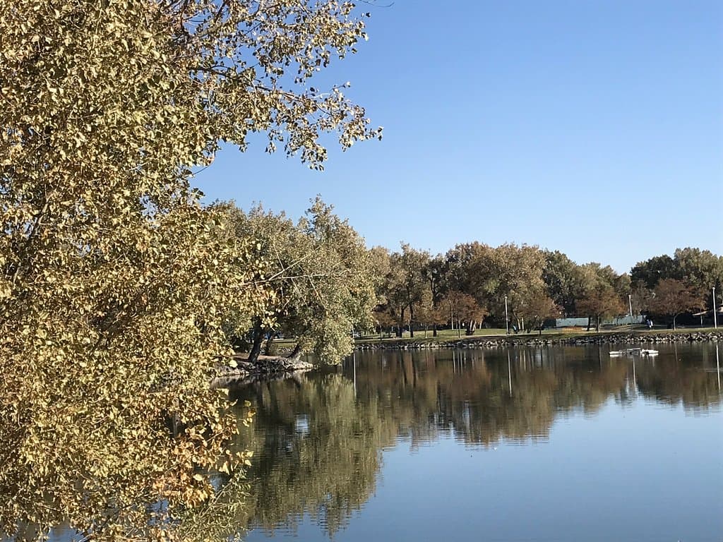 Holliday Park Cheyenne