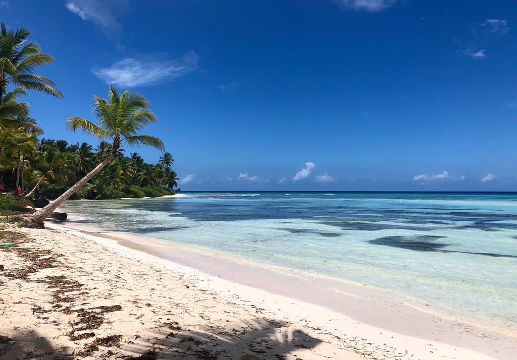 Canto de la Playa Saona