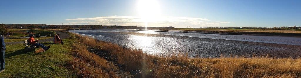 Truro Tidal Bore Viewing Site