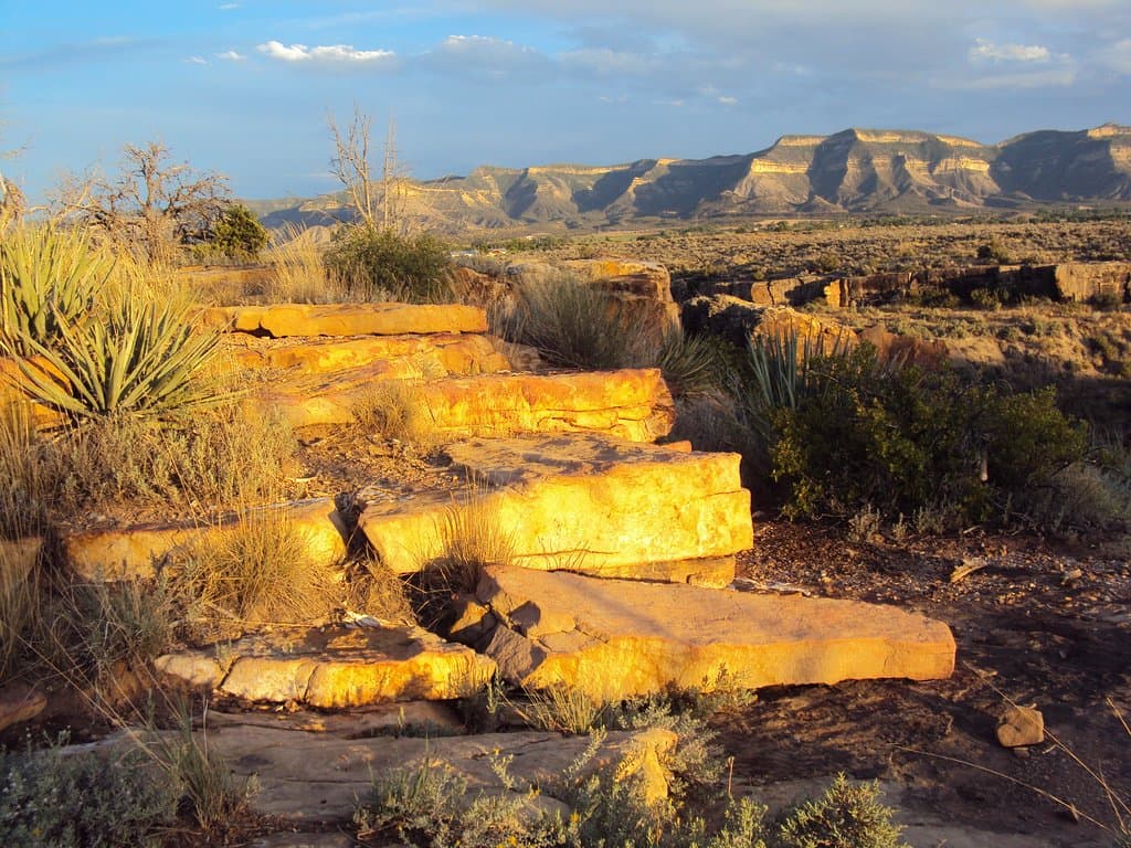 getlstd_property_photo