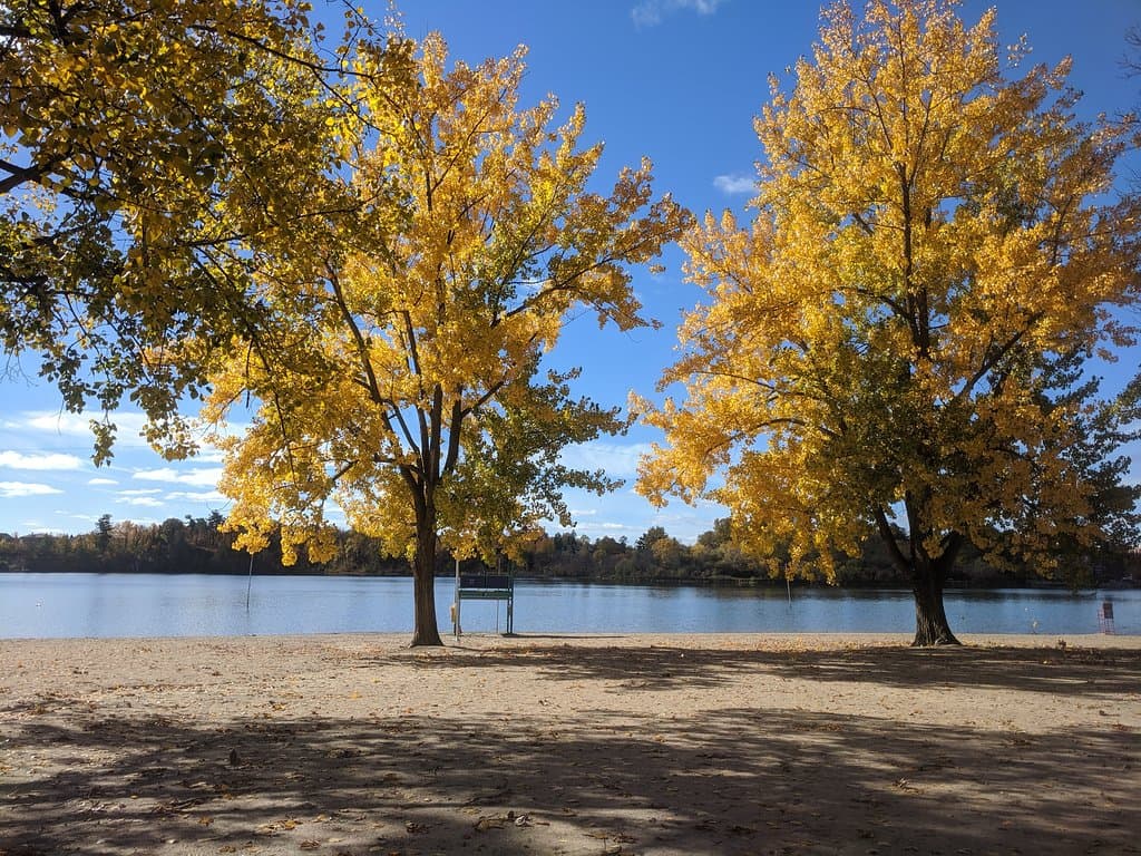 Mooney's Bay in Autumn