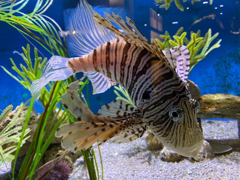Woods Hole Science Aquarium