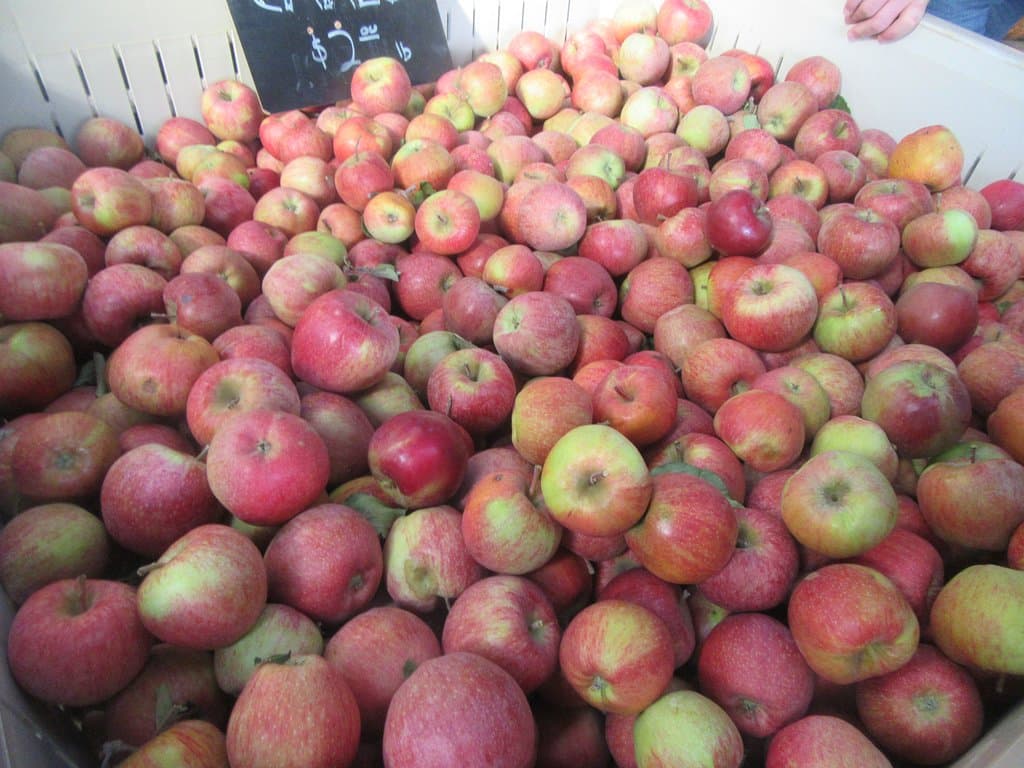 Apple Hill, Placerville, CA