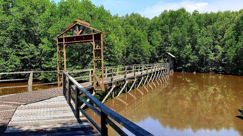 Kota Kinabalu Wetland Centre