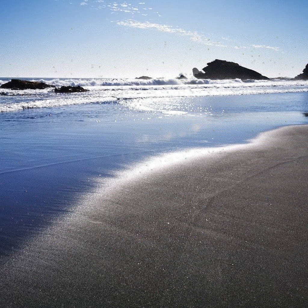 Parque Pedro del Río Zañartu