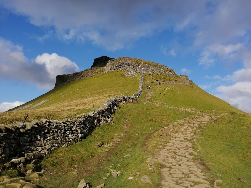 Looking fabulous in the late October sunshine