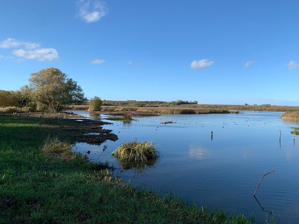 Stodmarsh National Nature Reserve