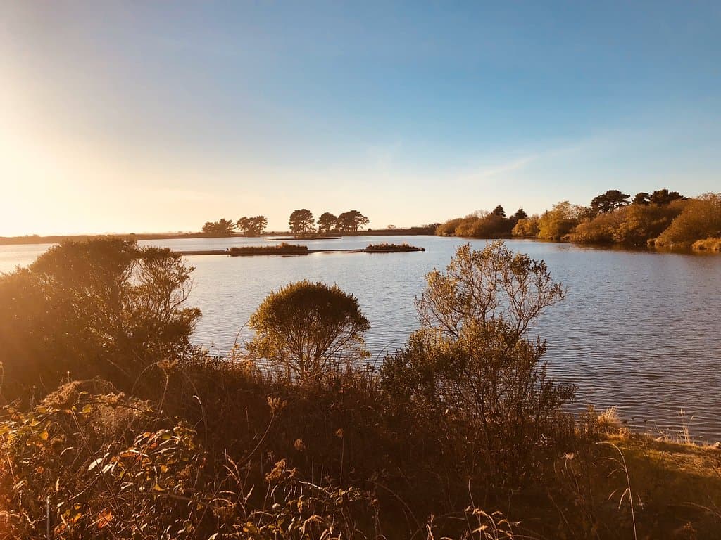 Arcadia Marsh Nature Preserve