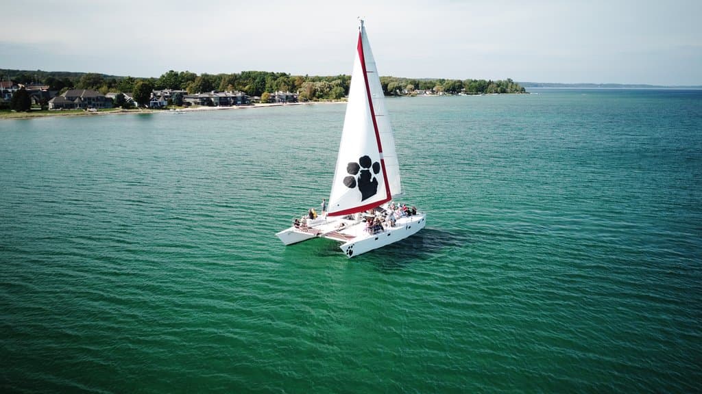 Nauti-Cat