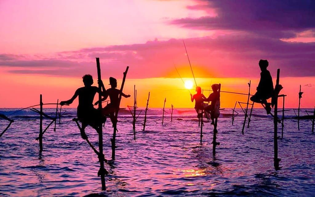 Stilt Fishing