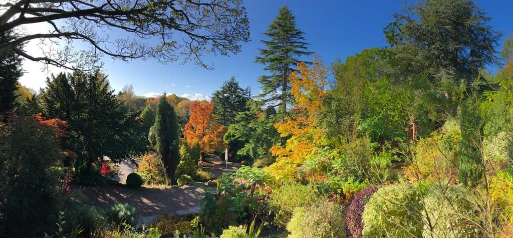 Ness Botanic Gardens Cheshire