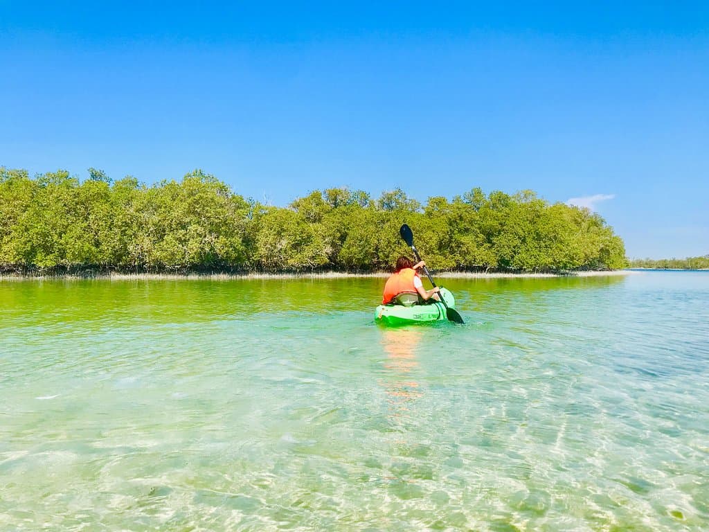 Eastern Mangroves Abu Dhabi