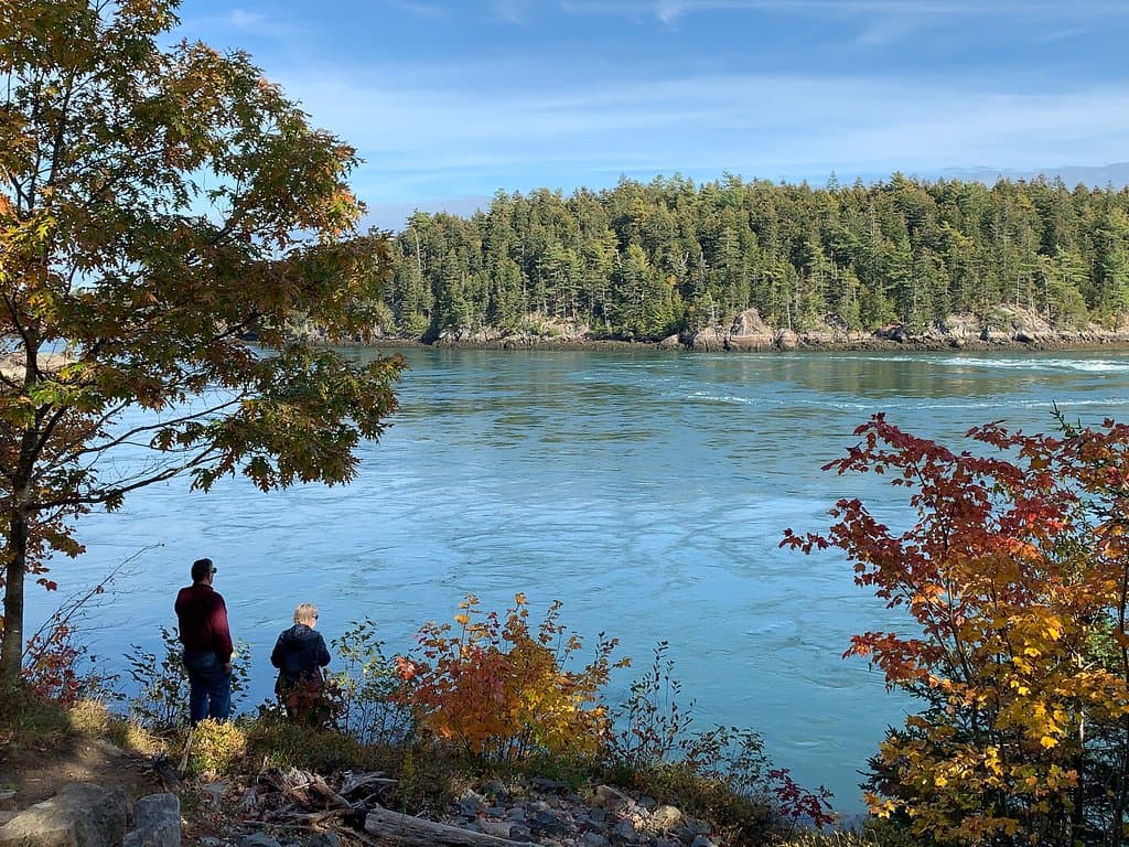 Reversing Falls Park