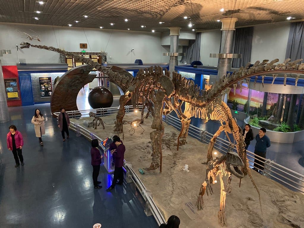 Beijing Museum of Natural History Beijing