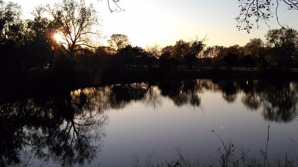 Trees reflecting on the water