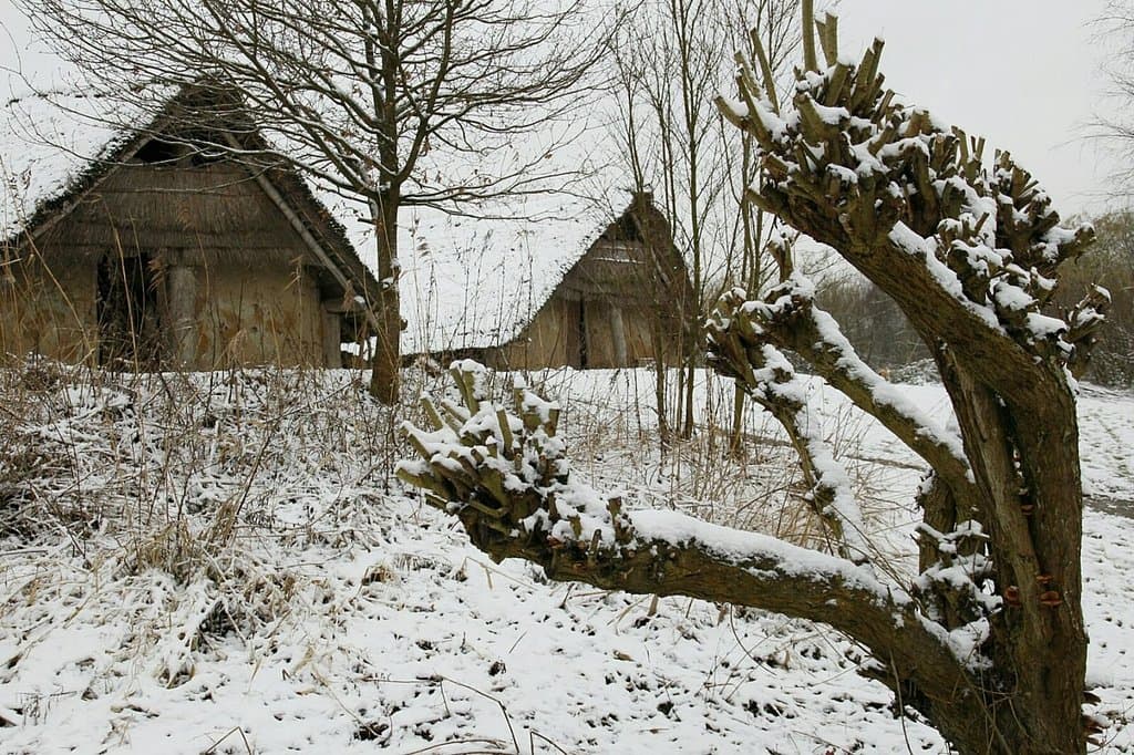 Prehistorische nederzetting Swifterkamp
