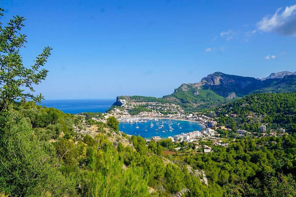 Camí de Muleta (Far Path)