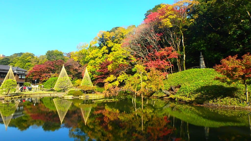 20191125 日本庭園