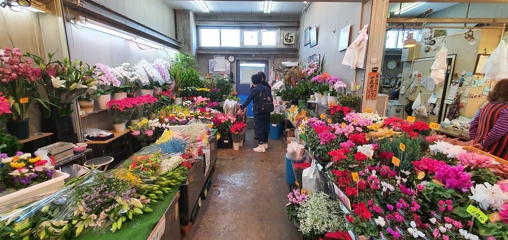 Around and inside the Co-ops