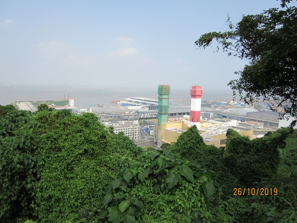 タイパフェリーターミナルの眺望