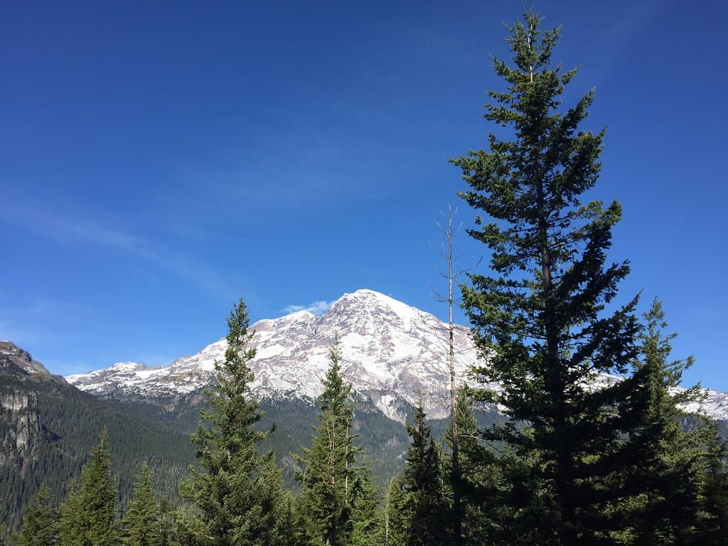 Trail of the Shadows