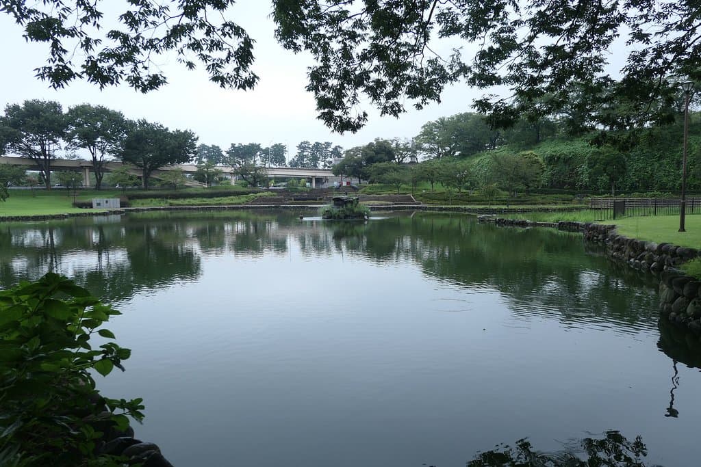 南側のエリアにある幸の池