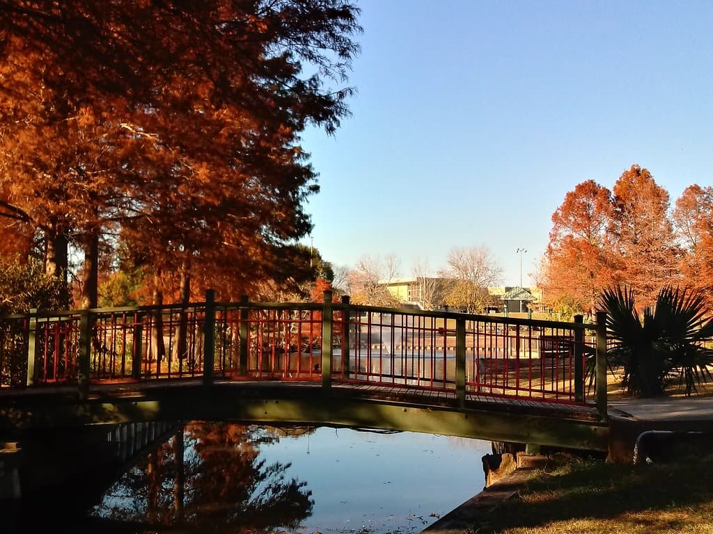 Bridge over the Pond