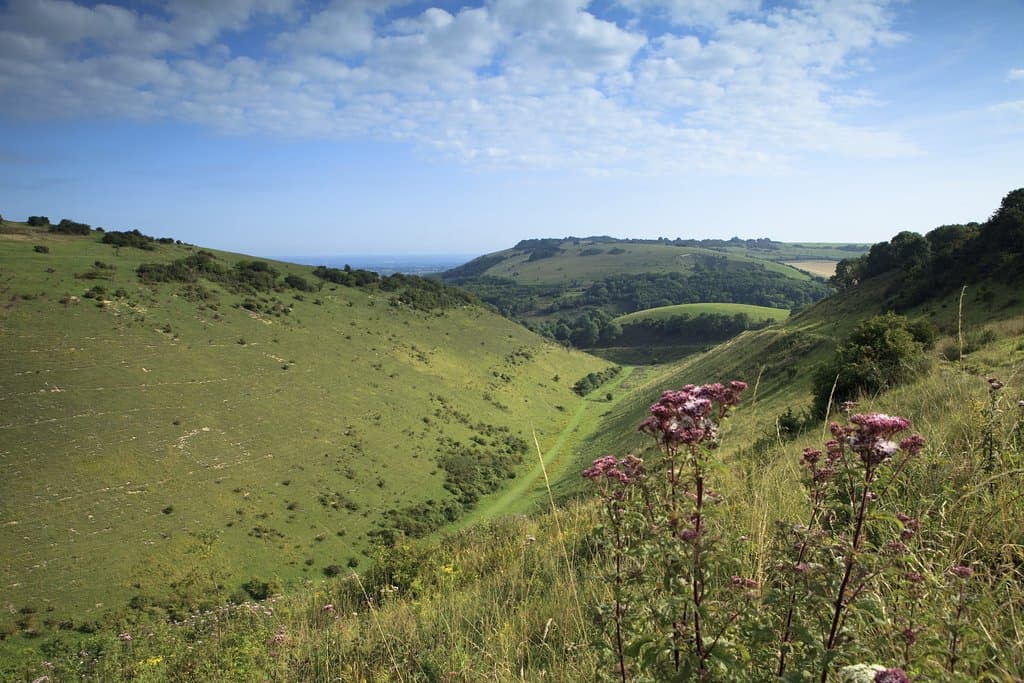 View of Devil's Dyke