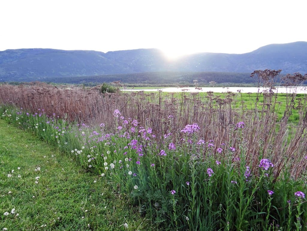  Peter Jannink Nature Park 