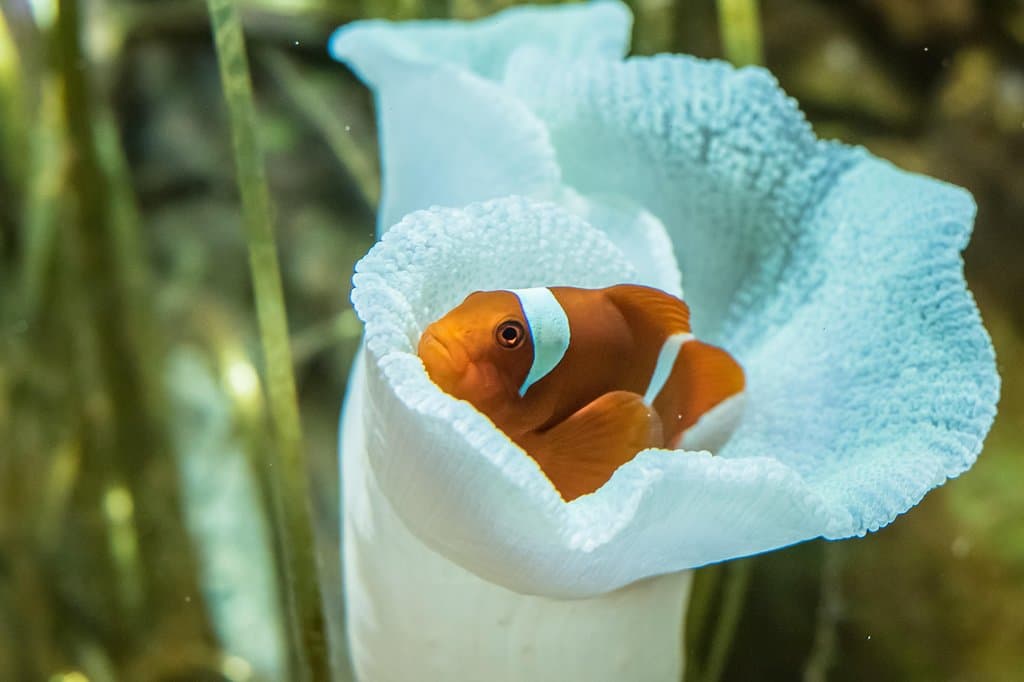 Fisheries Research Institute Aquarium