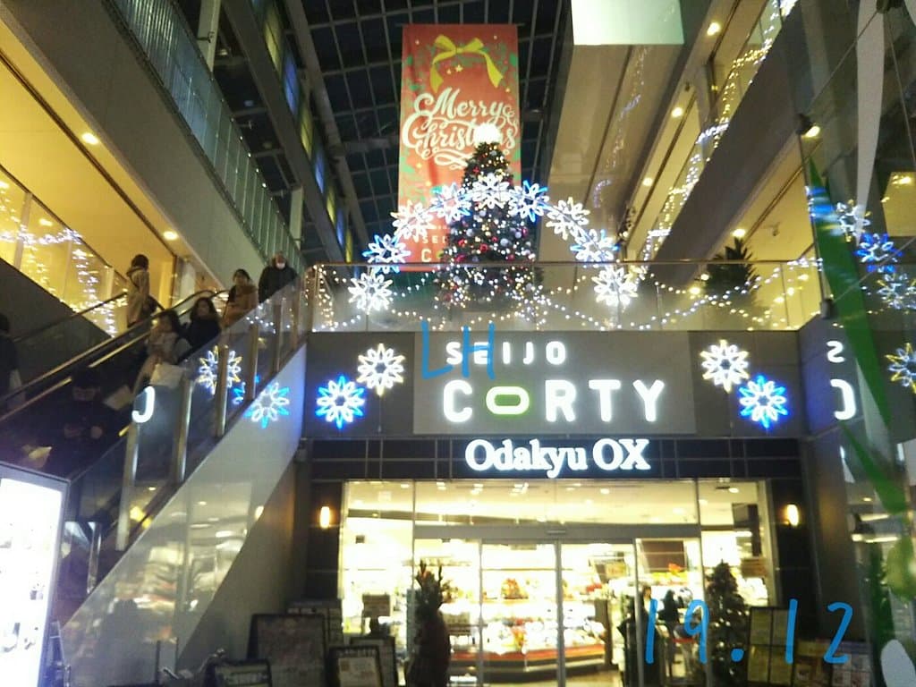 Seijo Gakuenmae Station