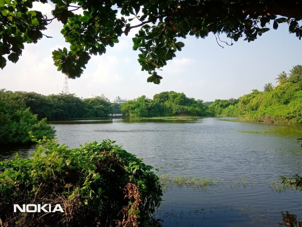 Tholkappia Poonga Adyar Eco Park