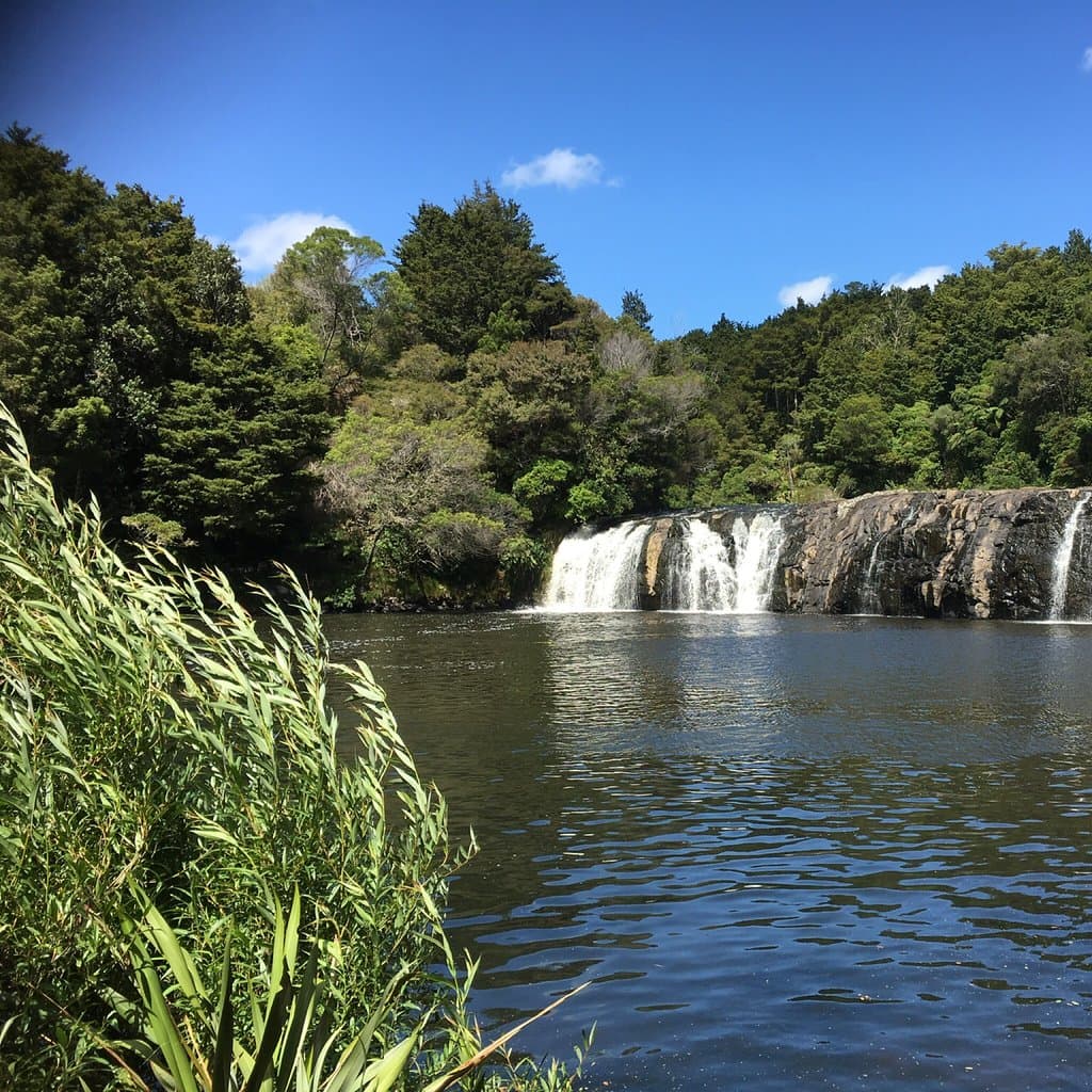 Kerikeri River Track