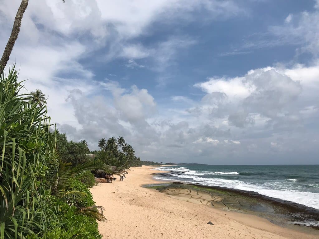 Reef Seen Turtle Hatchery