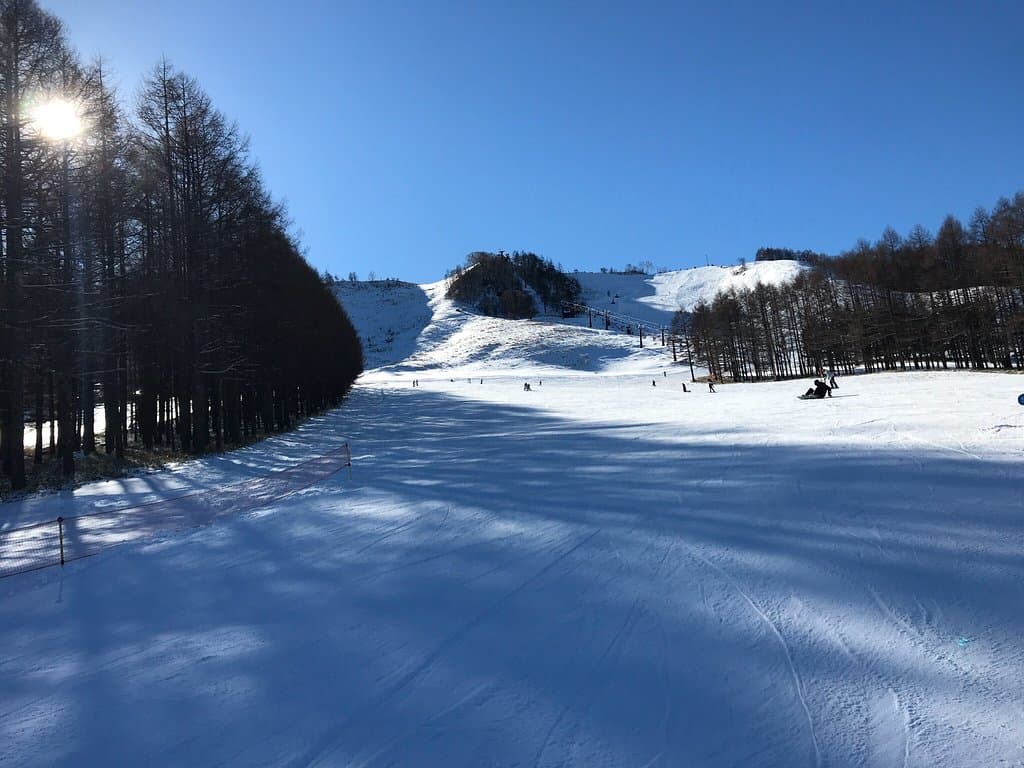 Shirakaba 2-in-1 Ski Area