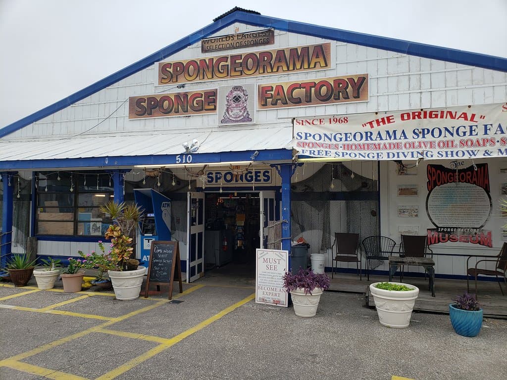 Spongeorama - Tarpon Springs, FL