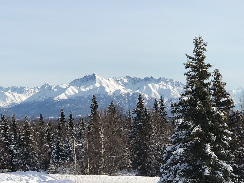 Government Peak Recreation Area