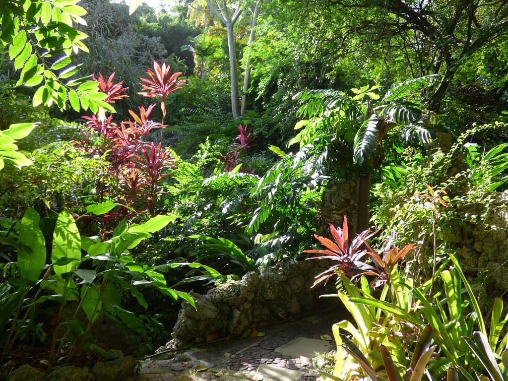 Lush and lovely