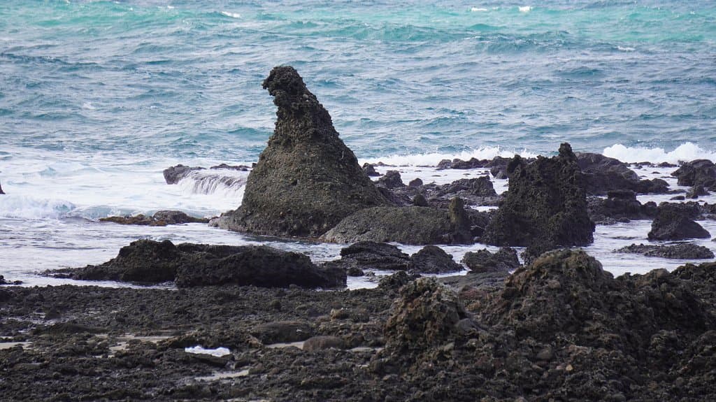 多分これがゴジラ岩