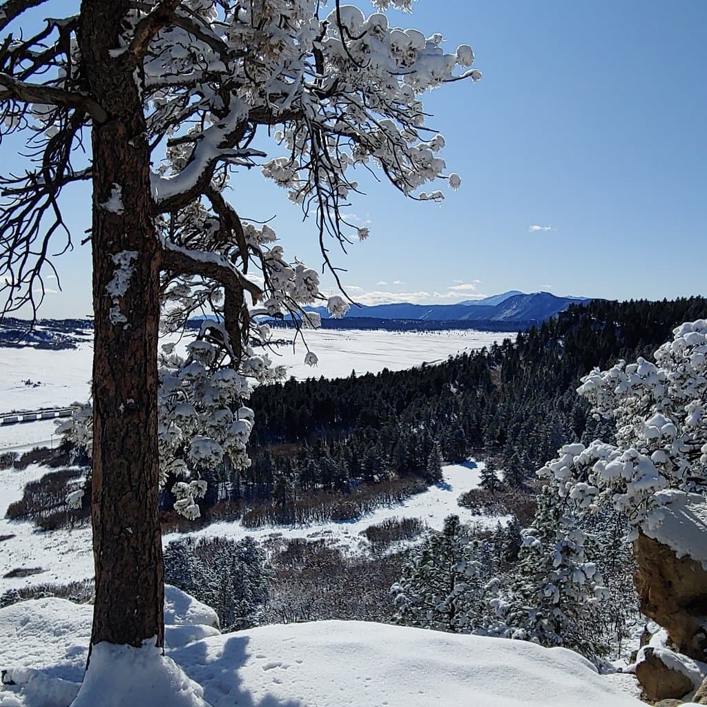 A beautiful December morning at the top of spruce mountain. Amazing views and exhilarating hike!!