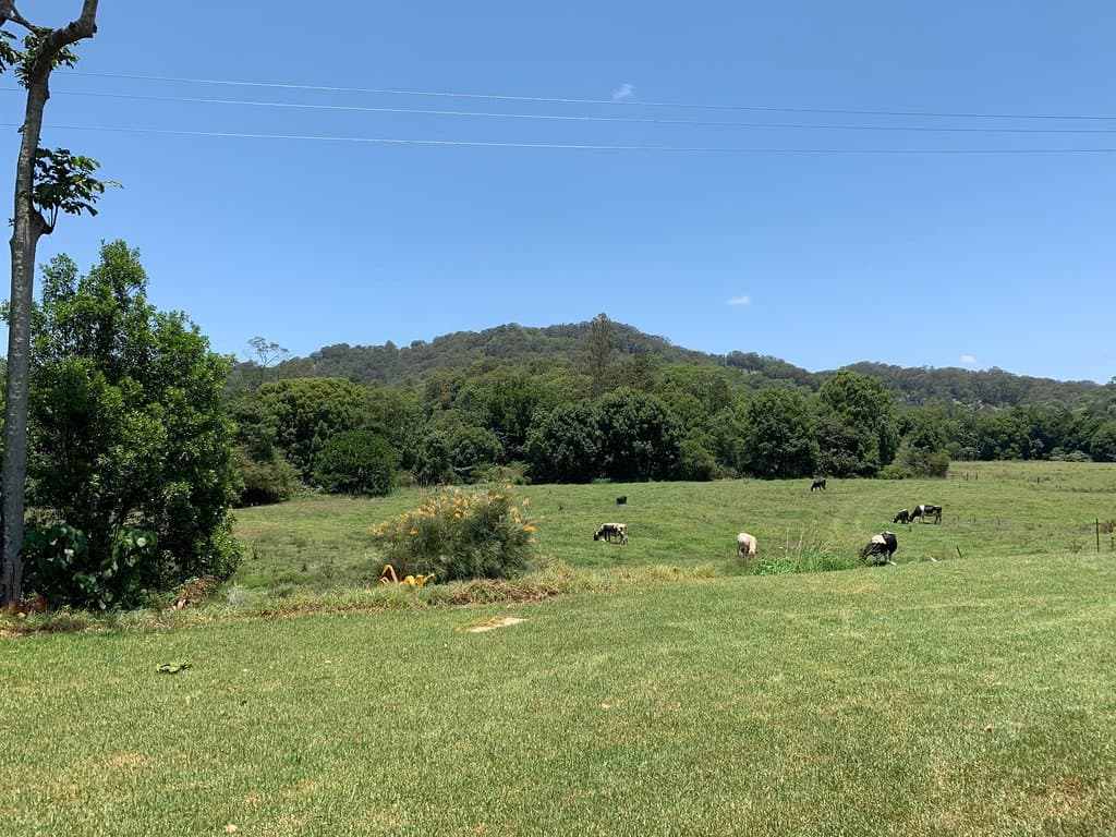 Tweed Valley Whey Farmhouse Cheese