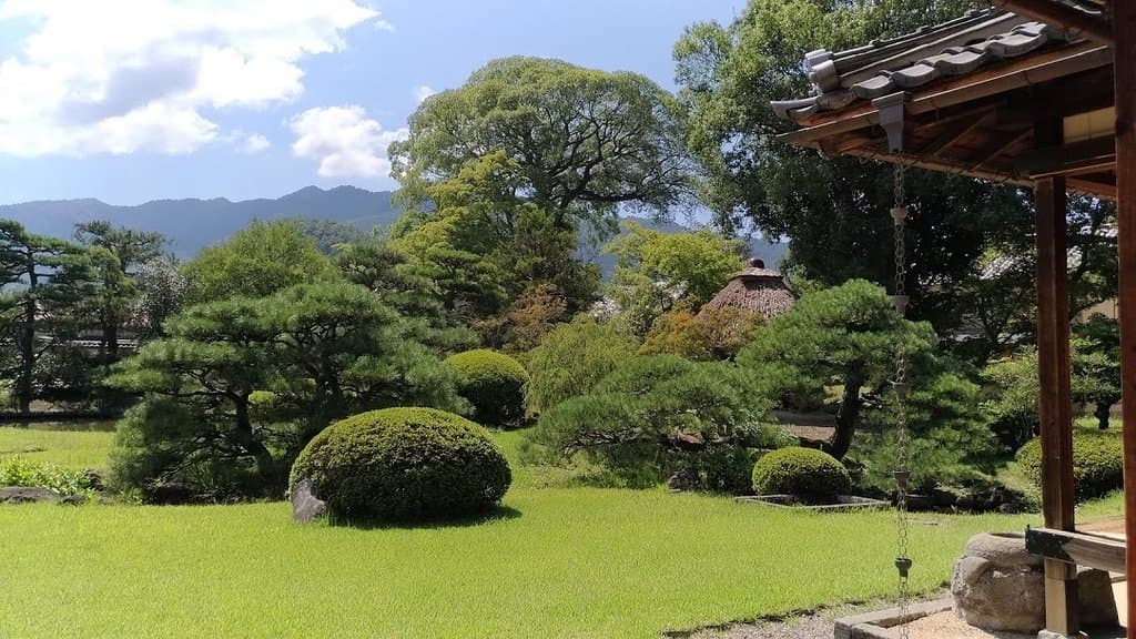 縁側に座って庭を眺める。ころんとした球型のサツキがかわいい。