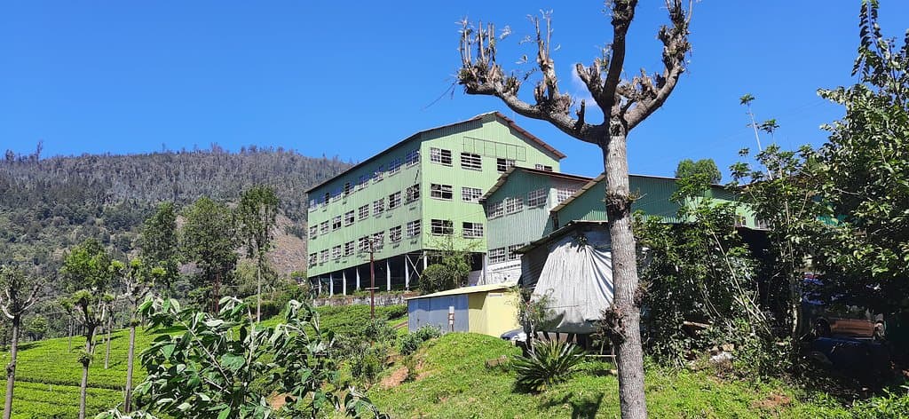 Highfield Tea Estate