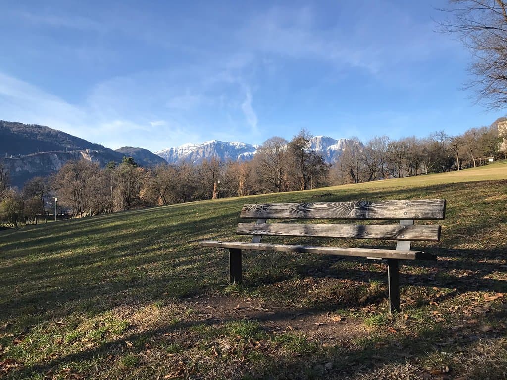 The grassy area in the upper portion of the park. 