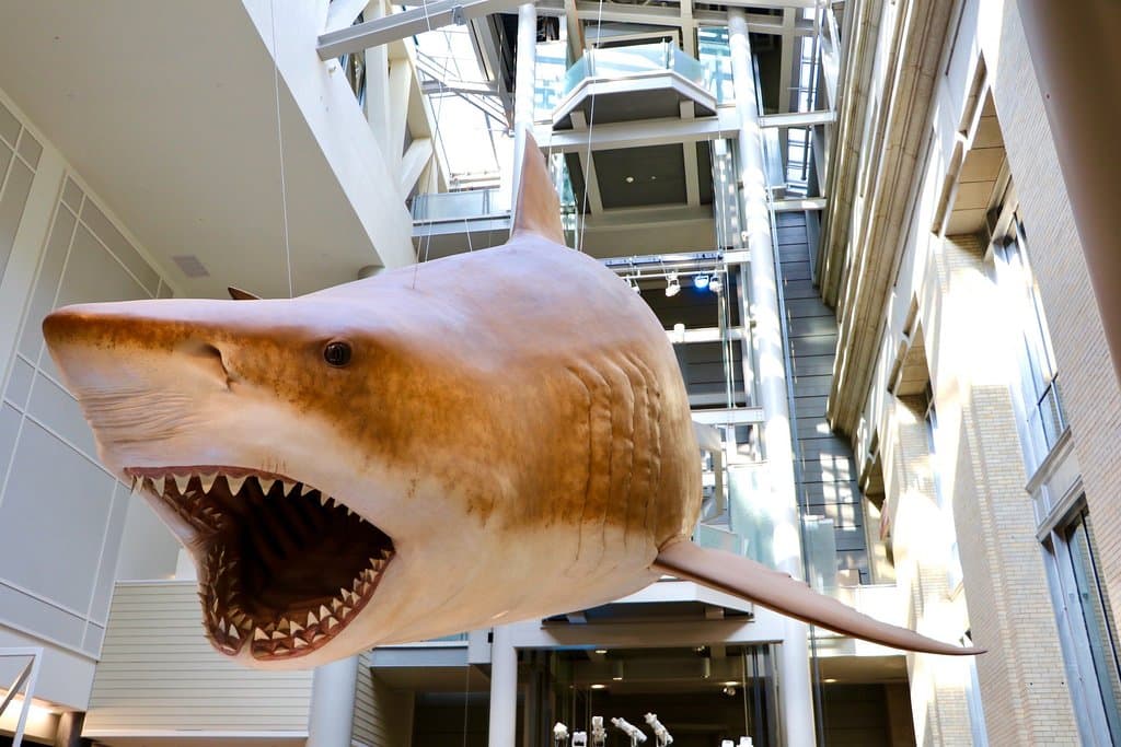 Museu de História Natural Capão da Imbuia